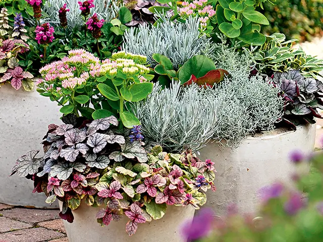 Bunte Herbstpflanzen in verschiedenen Kübeln auf einer Terrasse