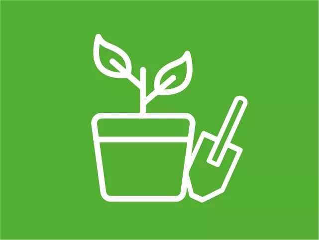 Pflanz- und Umtopfservice