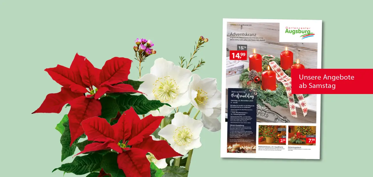 Gartencenter Augsburg Werbebeilage ab Samstag