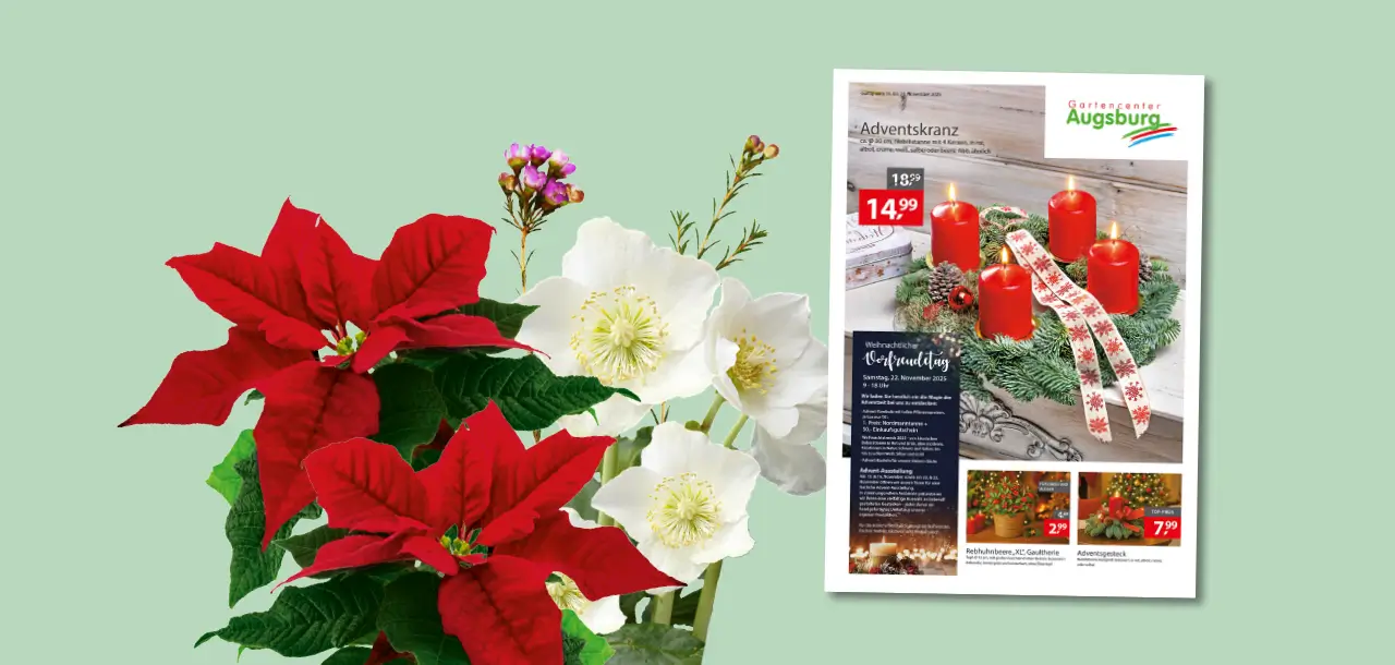 Gartencenter Augsburg Werbebeilage