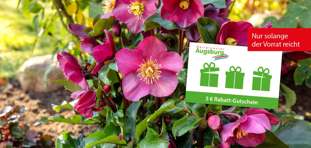 Rabatt-Gutschein vor Blumenhintergrund